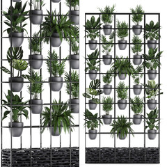 collection exotic plants, vertical garden