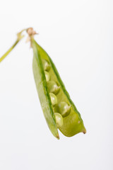 Peas - Open Pod 