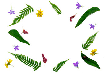 Frame of green leaves and flowers, place for text.