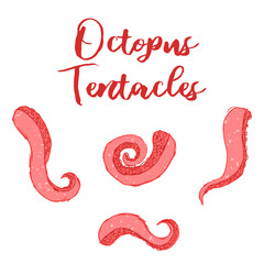 octopus tentacles vector collection, bright colored, editable illustration