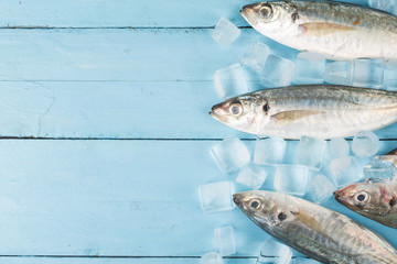 Fish mackerel，raw mackerel with and spices