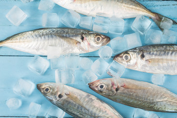 Fish mackerel，raw mackerel with and spices