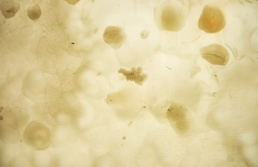 Onyx wall background. Texture of honey color onyx material