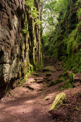 Lud's Church moss covered chasm at The Roaches, in the Peak District National Park.