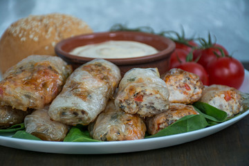 Spring roll with meat and vegetables served on a white dish with sauce. Dark wooden background.