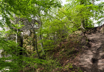 Fototapeta premium Sulov castle, Slovakia