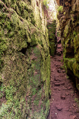 Lud's Church moss covered chasm at The Roaches, in the Peak District National Park.