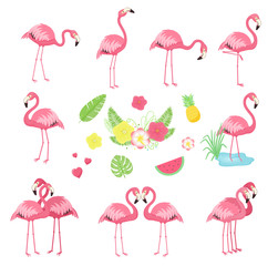 Verzameling van roze vector flamingo& 39 s. Cartoon afbeelding