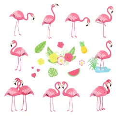 Fototapete Flamingo Sammlung von rosa Vektorflamingos. Cartoon-Abbildung