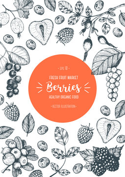 Berry hand drawn vector illustration frame. Hand drawn sketch illustration with strawberry, cranberry, briar berry, shadberry, blackberry, gooseberry Healthy food design template with berry.