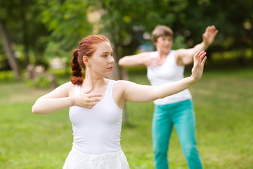 Obraz premium group of people practice Tai Chi Chuan in a park. Chinese management skill Qi's energy.