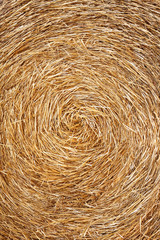 Close up view of hay roll. Abstract background