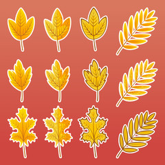 Fototapeta na wymiar Set of vector illustrations of complex yellow leaves in a flat style