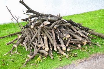 Pile of sawed wood and cut tree branches. Cross section birch tree trunks. Timber background.Log pile at a camp in the park.