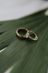 oval cut diamond gold wedding ring and wedding band on palm leaf, bride and groom rings close up,...