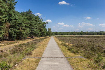 Fototapeta na wymiar Bicycle path in national park Dwingelderveld, Netherlands