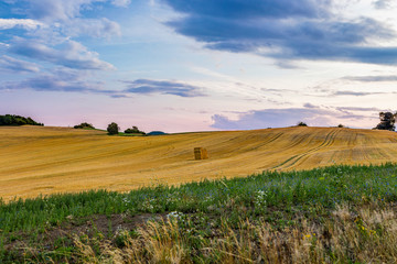 Blick über einen Acker am Abend