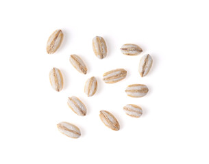 grain barley  on a white background. top view