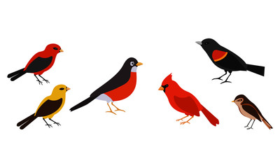 Bird varieties