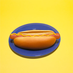 Hot Dog
