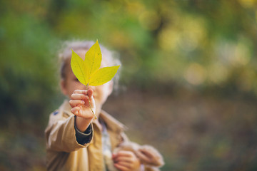 A cute little girl in a beige raincoat holding a fallen yellow leave opposite your face. Hand with a sheet in focus