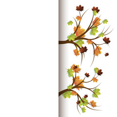 Maple leaves. Maple Leaves and Branches. Autumn leaves design elements - Vector