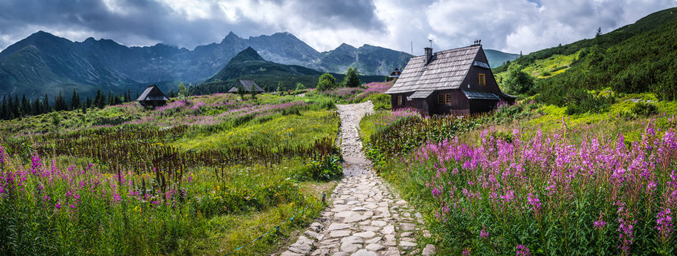 Hala Gąsienicowa - Tatry, Polska