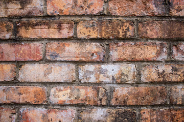 Orange worn grunge brick wall surface background weathered dirty distressed texture