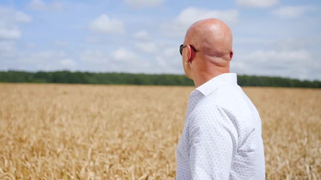 Side view of bald man going and singing in the golden wheat field. Medium shot.