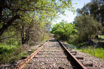 Abandoned railway covered by grass and trees. Puglia region, Italy