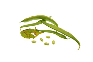 green beans isolated on white background