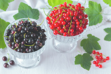red and black currant in bowls close-up. background with a crop of garden berries. fresh berries close-up.