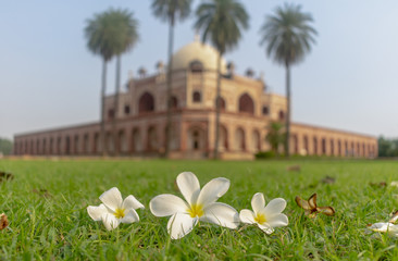 Humayun’s Tomb