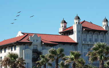 Fototapeta na wymiar Pelican Birds Fly by a Ocean Hotel