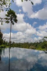 Villa infinity pool with a palm tree and rain forest with blue and clouds in the sky in Bali Indonesia
