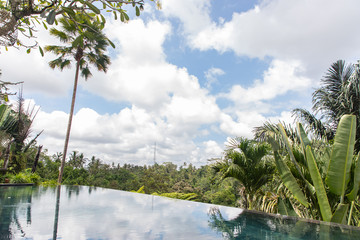 Villa infinity pool with a palm tree and rain forest with blue and clouds in the sky in Bali Indonesia