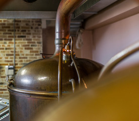 brewery beer production hops malt