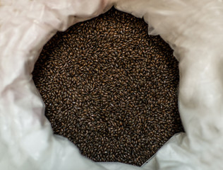 brewery beer production hops malt
