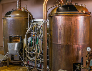 Fototapeta na wymiar brewery beer production hops malt