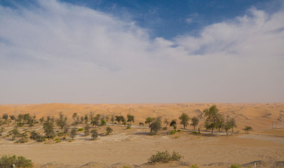 UAE. Desert  landscape