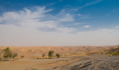 UAE. Desert  landscape