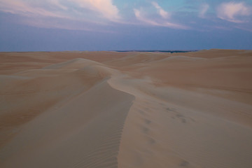 Obraz na płótnie Canvas UAE. Desert landscape