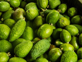 fresh feijoa's in a box