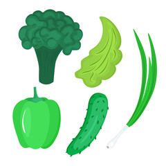 Set of vegetables. Green paprika, cucumber, broccoli, lettuce, onions.
