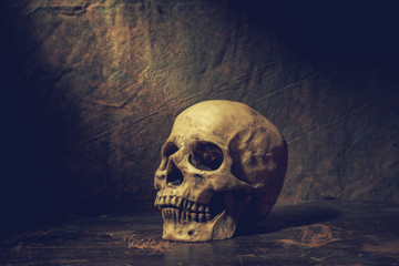 Old skull on vintage background