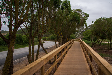 Fototapeta na wymiar Escarpas footbridge in Torres Vedras Portugal