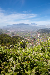 Fototapeta premium Teneriffa
