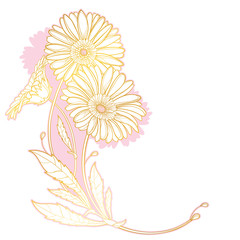 Corner bouquet of outline Gerbera or Gerber flower and leaf in pastel pink and gold isolated on white background.