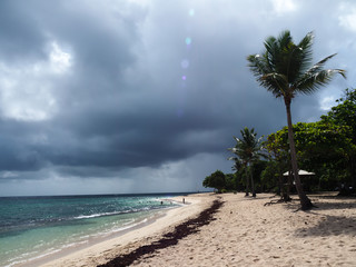beach scene in Guadeloupe, French overseas territory in caribbean