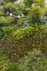 日本の自然風景